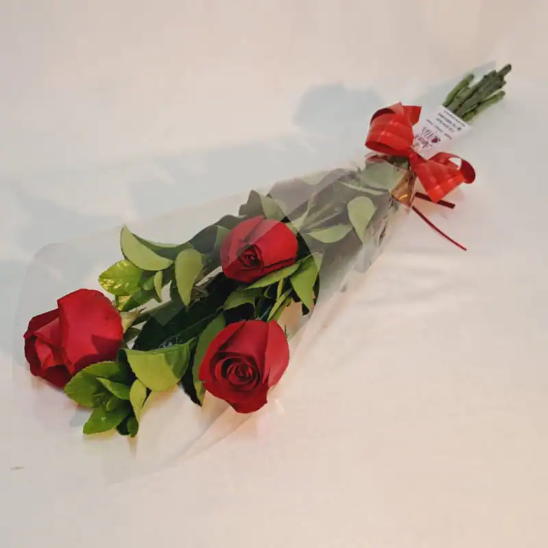 Trio de rosas nacionais
