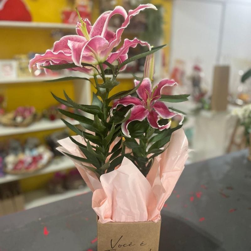 Lírio rosa plantado e acondicionado em cachepot kraft