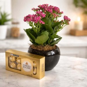 Calandiva Rocher