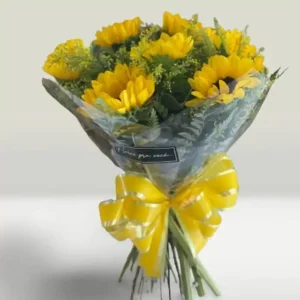 buque-sunshine.webp