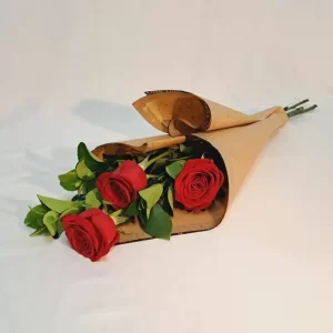trio_colombianas_fechadas1-5cccdf19288b63d02816953032012857-1024-1024.webp