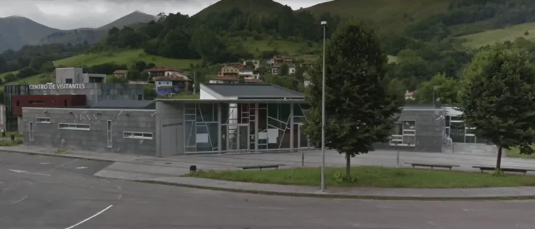 Floristería para Tanatorio La Santina