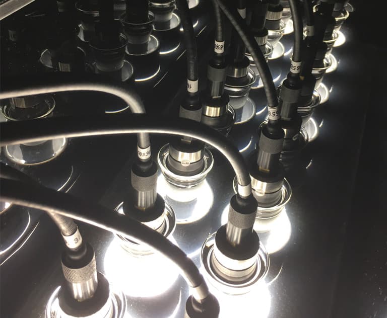 Rows of LED grow lights for cannabis, connected by cables, in reflective pattern.