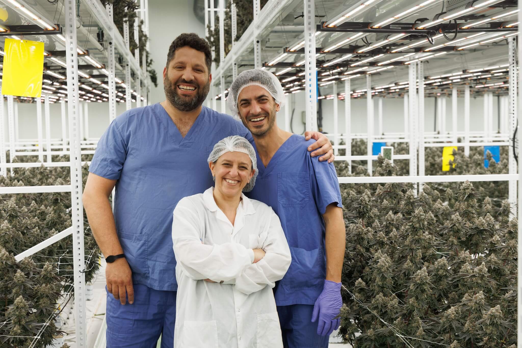 Team in lab coats inspects cannabis plants under LED grow lights for cannabis.