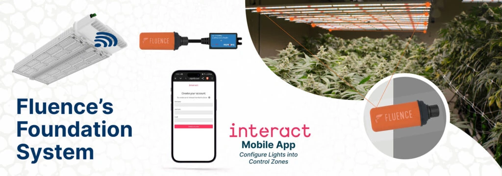 Visualization of cannabis LED grow lights system with wireless controls for commercial cultivation.