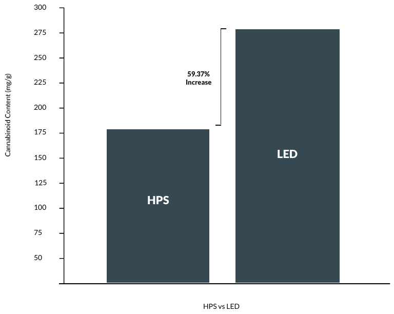 Bar graph shows LED grow lights for cannabis boost cannabinoids 59.37% vs HPS.
