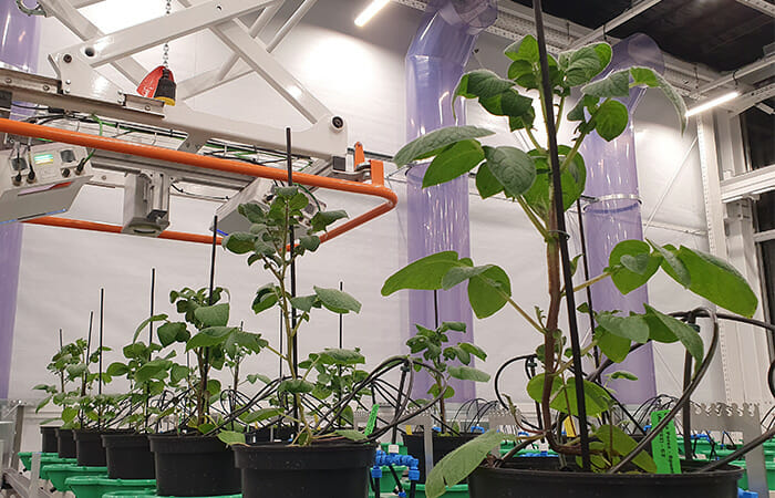 Collaborative Science: Fluence is the Lighting Partner of Wageningen University and Research (WUR)