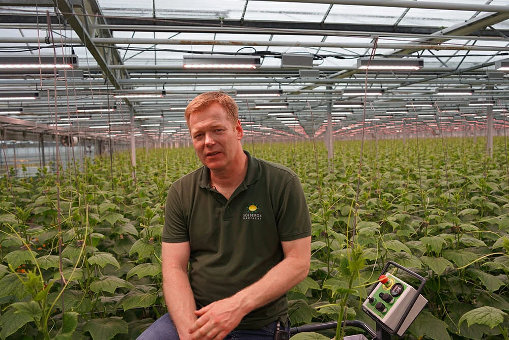 A man in a greenhouse with cannabis plants under commercial LED grow lights.