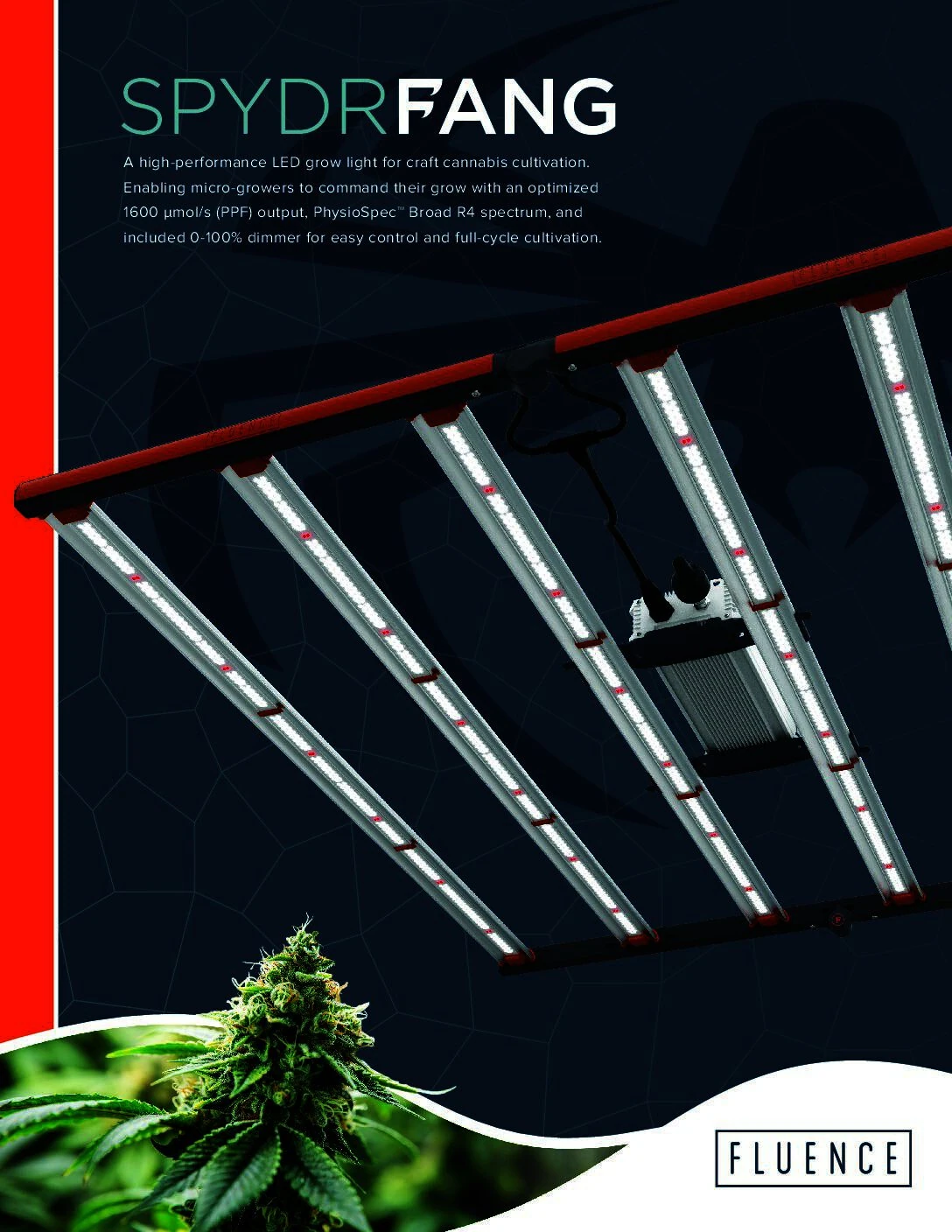 SPYDR FANG LED grow light for commercial cannabis cultivation suspended above plant.