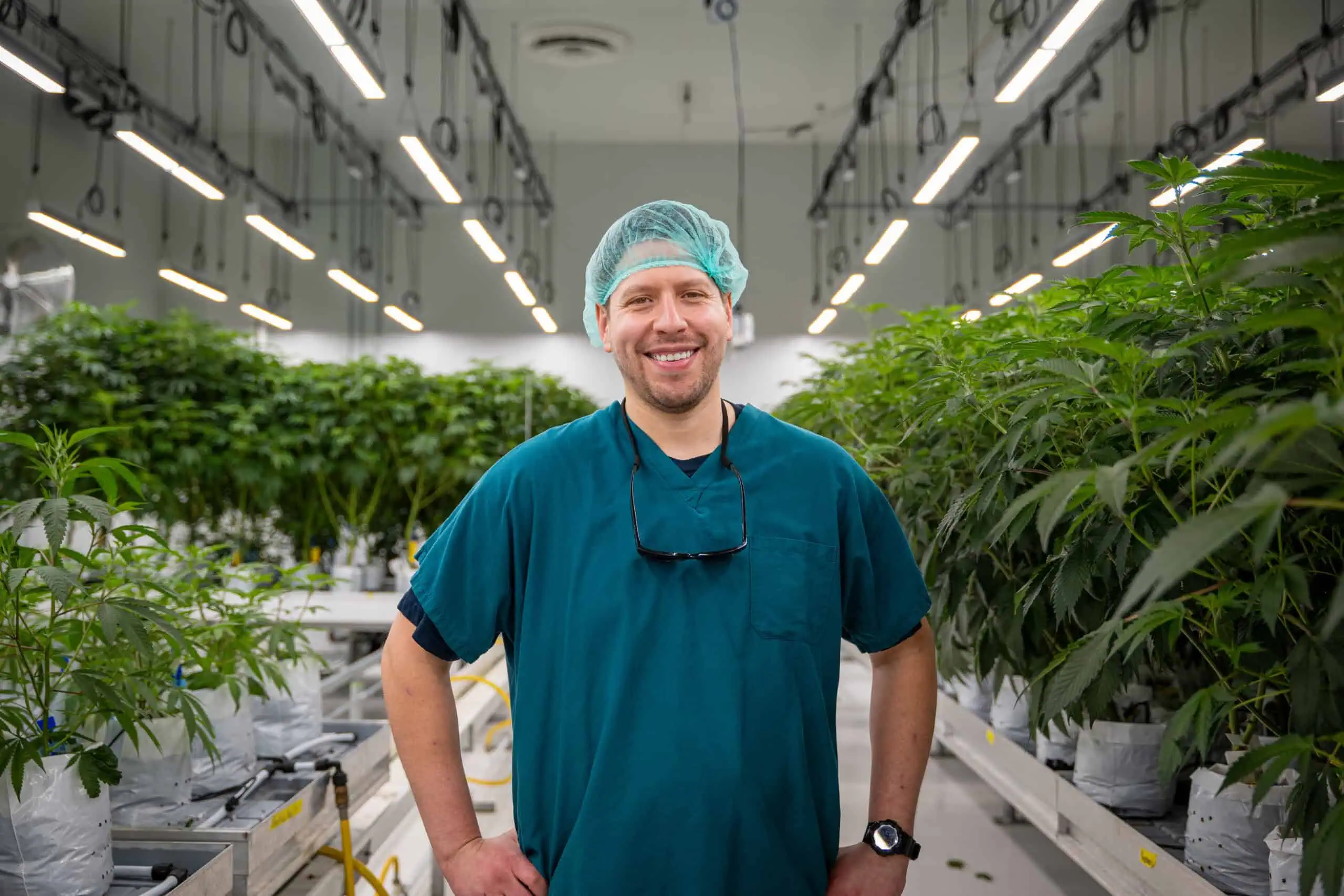 A man in scrubs stands in a commercial cannabis grow room under LED grow lights.