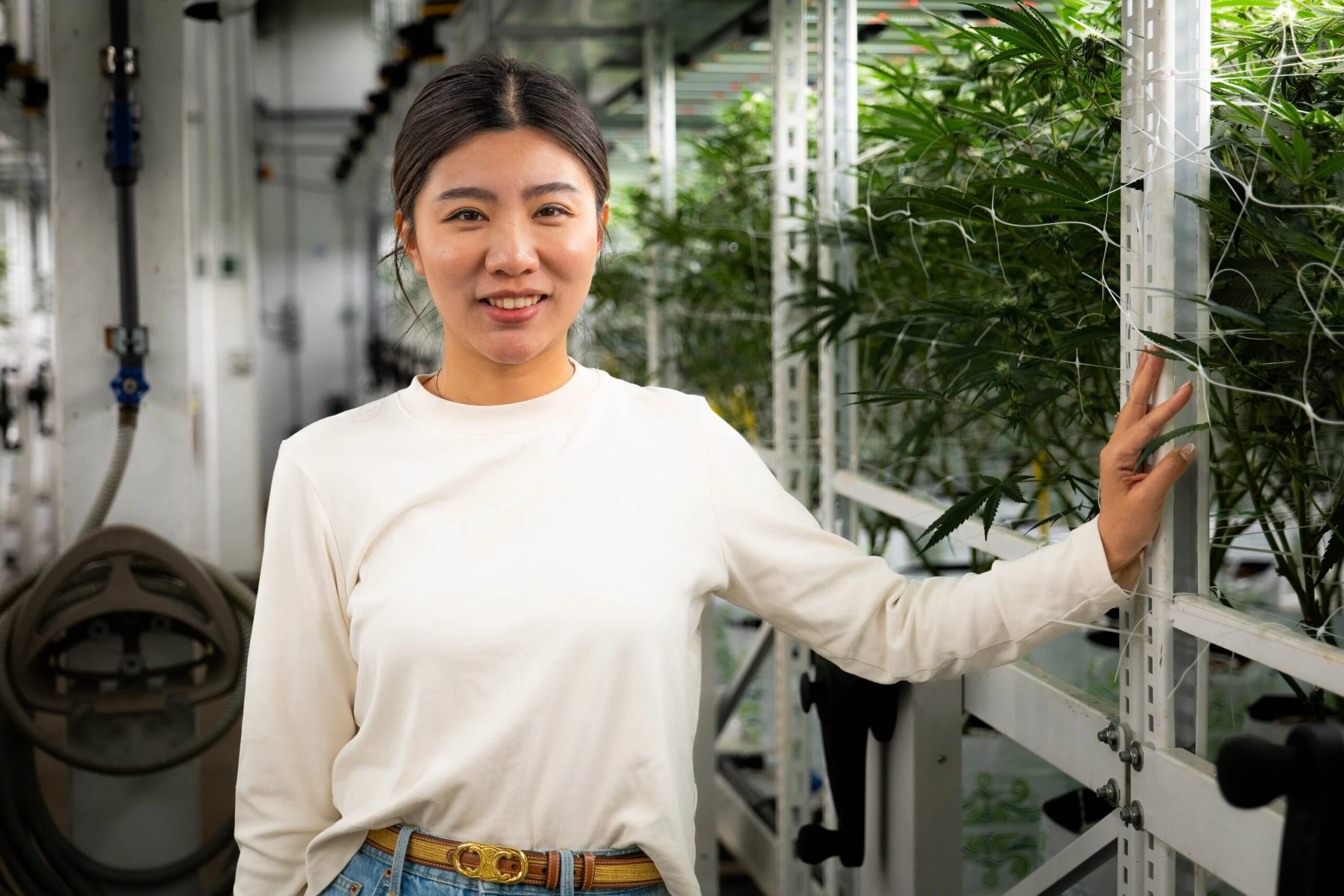 A woman inspects cannabis under LED grow lights in a commercial greenhouse.