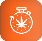 White stopwatch with cannabis leaf on orange gradient, symbolizing advanced LED grow lights for cannabis cultivation.
