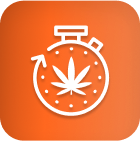 White stopwatch with cannabis leaf, orange background—cannabis LED grow lights.