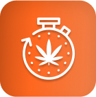 White stopwatch with cannabis leaf, orange background—cannabis LED grow lights.