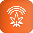 1. Cannabis leaf with Wi-Fi lines, symbolizing advanced cannabis lighting technology. 2. White cannabis leaf icon representing LED grow lights for cannabis on orange gradient. 3. Cannabis cultivation science illustrated by leaf and wireless light symbol on orange. 4. Cannabis lighting & commercial cultivation icon: white leaf with signal lines, orange background. 5. Symbol of cannabis lighting tech: outlined cannabis leaf, Wi-Fi lines, orange gradient backdrop.
