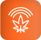 White cannabis leaf with signal lines, symbolizing LED grow lights technology.