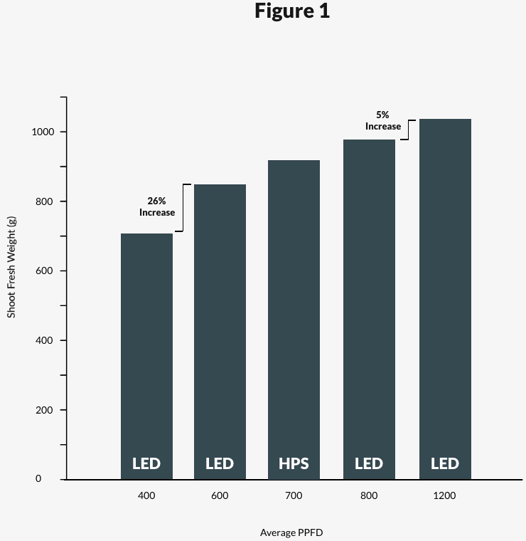 Bar graph showing higher shoot weight with increased PPFD in LED cannabis lighting.