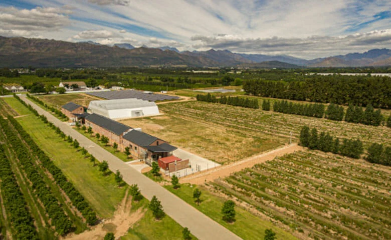 Aerial view of commercial cannabis farm using LED grow lights and greenhouses.