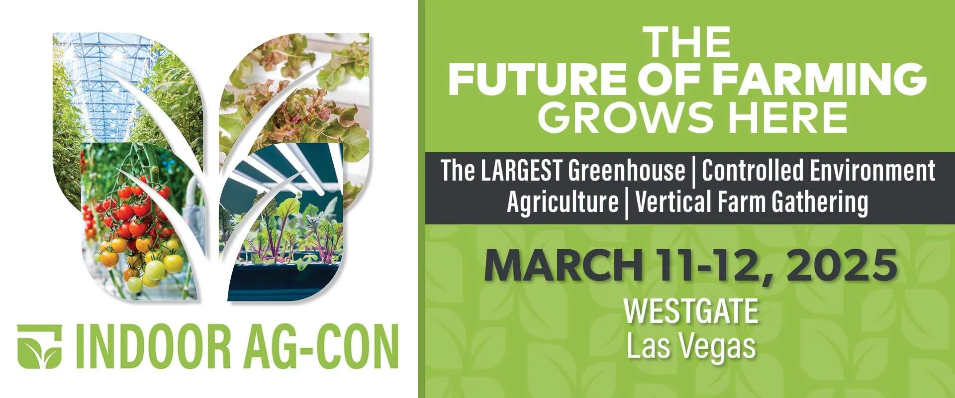 1. Banner for Indoor Ag-Con 2025 with LED grow lights for cannabis and event info 2. Indoor Ag-Con 2025 promo showing cannabis lighting tech and cultivation details 3. Promo banner highlighting commercial cannabis cultivation, LED grow lights, event info 4. Indoor agriculture conference ad featuring cannabis lighting technology and key dates 5. Cannabis cultivation science banner with advanced LED grow lights, event details.