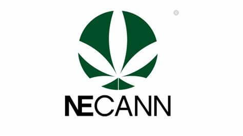 Green logo with cannabis leaf and "NECANN", symbolizing cannabis grow lighting tech.