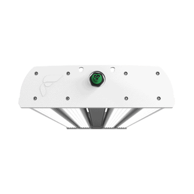 Rectangular LED grow light for cannabis, multiple bars, commercial cultivation.