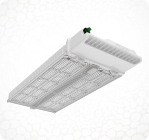 Rectangular RAPTR LED grow light for cannabis with white casing, ideal for commercial cannabis cultivation.
