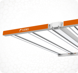 Lámpara de cultivo LED SPYDR Serie 3 para el cultivo comercial de cannabis, marca Fluence.
