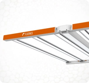 SPYDR 3 Series LED grow light for commercial cannabis cultivation, Fluence brand.