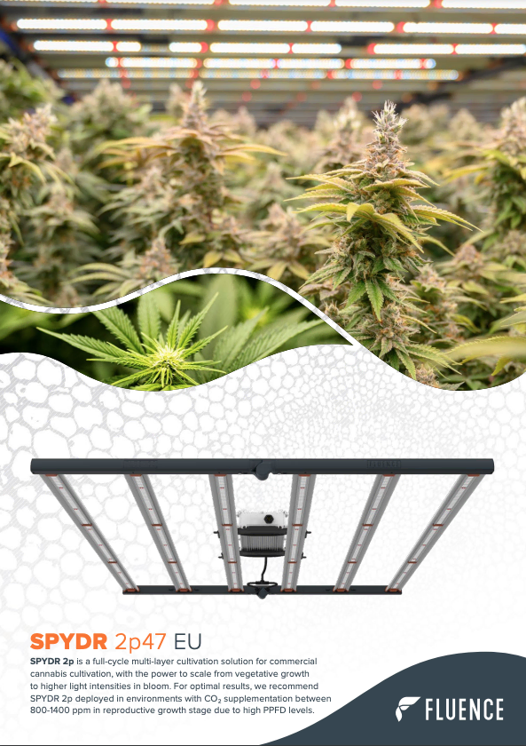 Cannabis plants under SPYDR 2p47 EU LED grow lights for commercial cultivation.