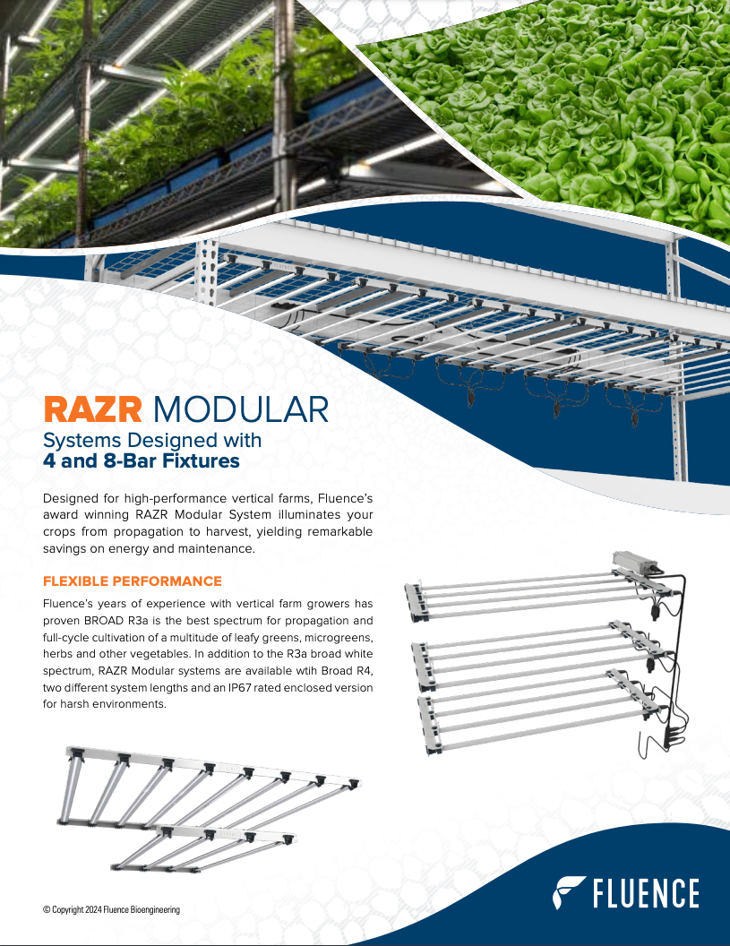 Fluence RAZR LED grow lights for cannabis in commercial cultivation racks.
