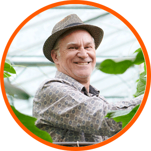 Older man in straw hat stands among cannabis plants under LED grow lights.