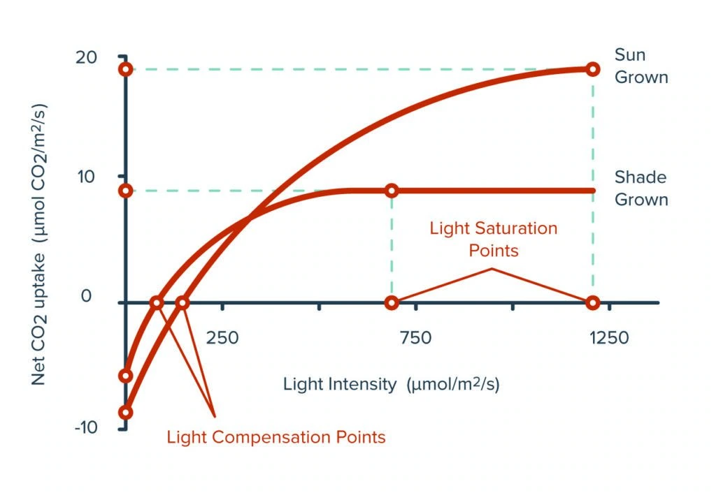 Graph showing CO2 uptake vs. light for LED grow lights in cannabis cultivation.