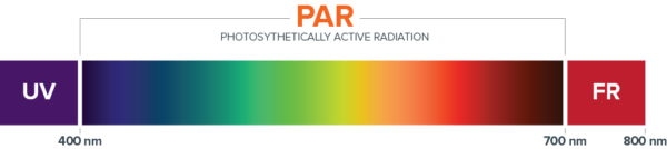 A spectrum showing UV, PAR, and far-red for cannabis lighting technology.