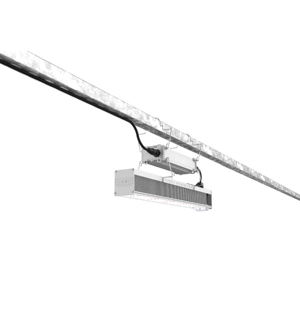 A suspended monorail for LED grow lights in commercial cannabis cultivation.