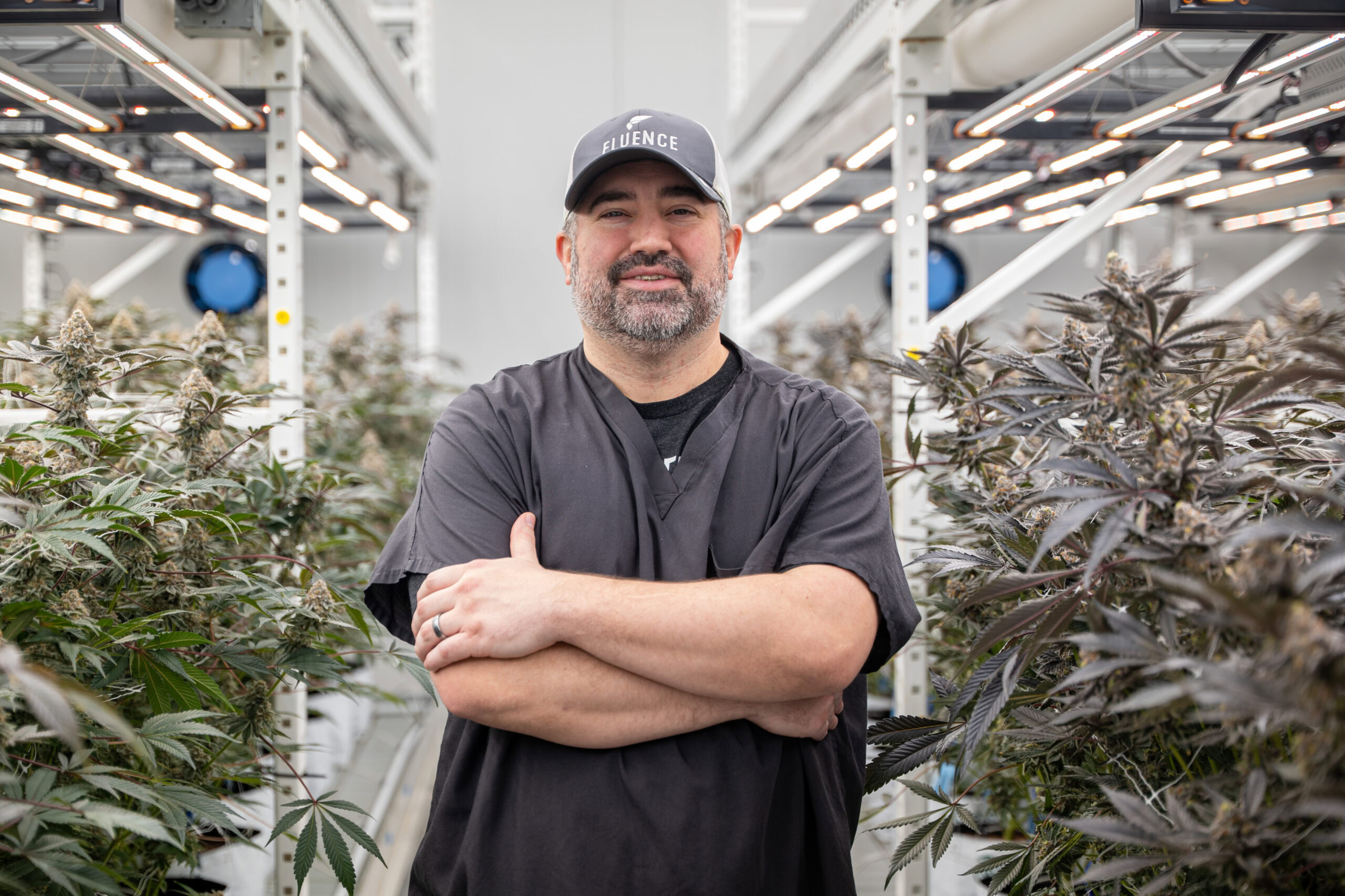 Man in commercial cannabis grow room with LED grow lights and mature plants.