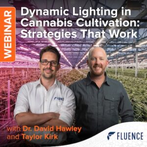 Two men in a commercial cannabis grow room with LED grow lights, promoting a cannabis lighting technology webinar.