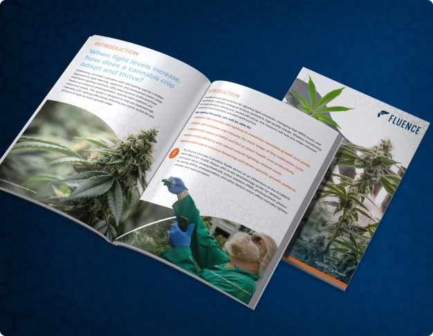 Open and closed booklet showing cannabis lighting technology, LED grow lights for cannabis, and Fluence’s cultivation guide.