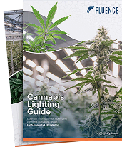 Brochure cover titled "Cannabis Lighting Guide" with cannabis plants, LED grow lights for cannabis, and commercial cannabis cultivation insights.