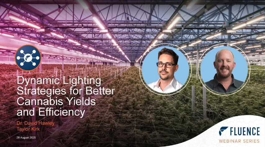 Commercial cannabis cultivation with LED grow lights, presenter headshots, and cannabis lighting technology webinar details.