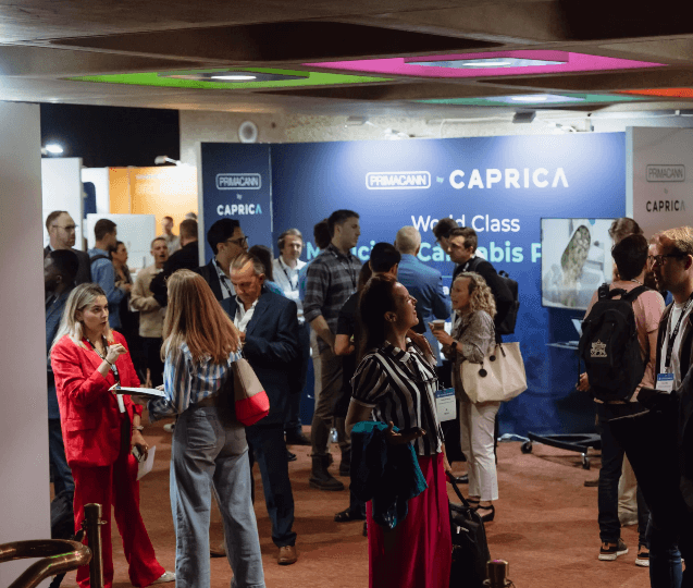A group of people in a room discussing LED grow lights for cannabis cultivation.