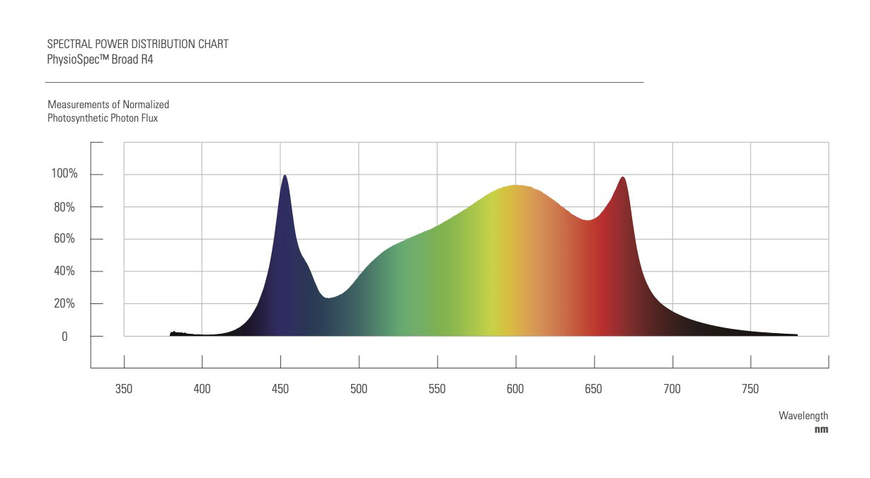 Spectrum chart of LED grow lights for cannabis with peaks at 450, 620, 660 nm.