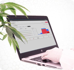 A gloved hand uses a laptop showing data graphs near cannabis under LED grow lights for commercial cannabis cultivation.