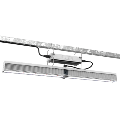 Fluence VYPR 4 LED grow light for commercial cannabis cultivation setup.
