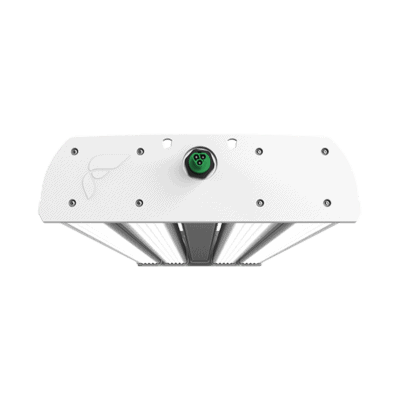 Rectangular LED grow light for cannabis, multiple bars, commercial cultivation.