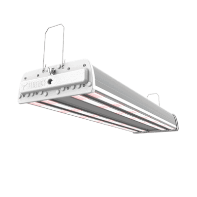 Commercial LED grow light fixture for cannabis cultivation with linear strips.