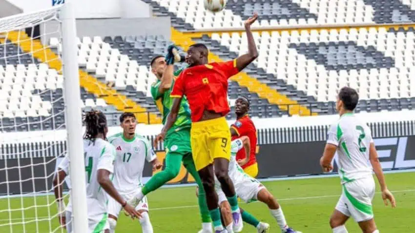 Guinea vs Algeria Highlights