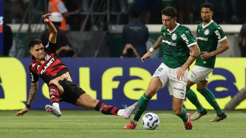 Flamengo vs Palmeiras Highlights