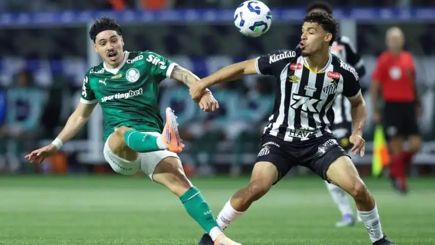 Palmeiras vs Santos Highlights
