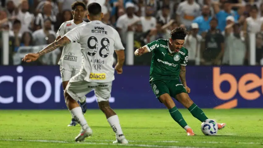 Santos vs Palmeiras Highlights