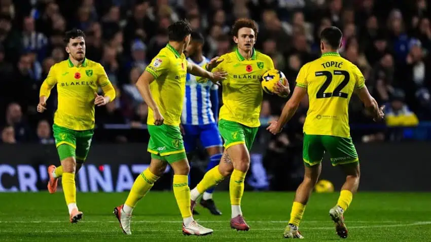 Sheffield Wednesday vs Norwich City Highlights